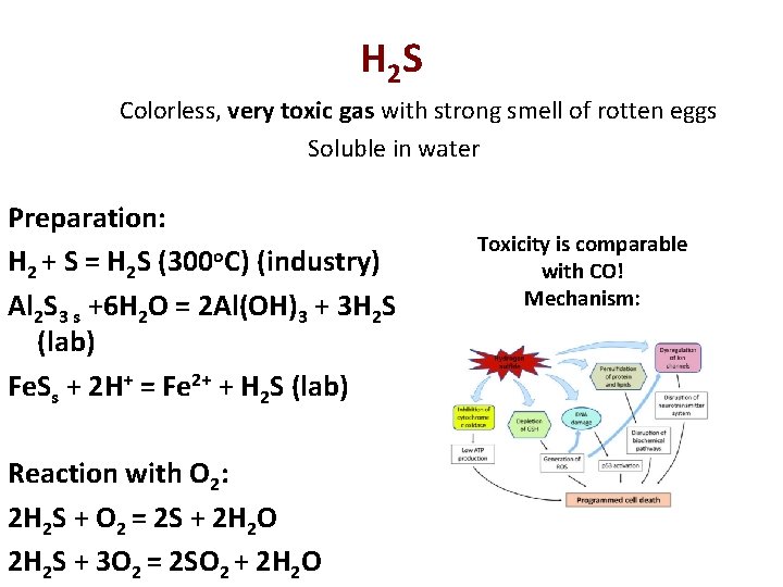 H 2 S Colorless, very toxic gas with strong smell of rotten eggs Soluble