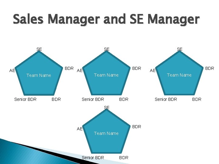 Sales Manager and SE Manager SE AE SE BDR Team Name Senior BDR BDR