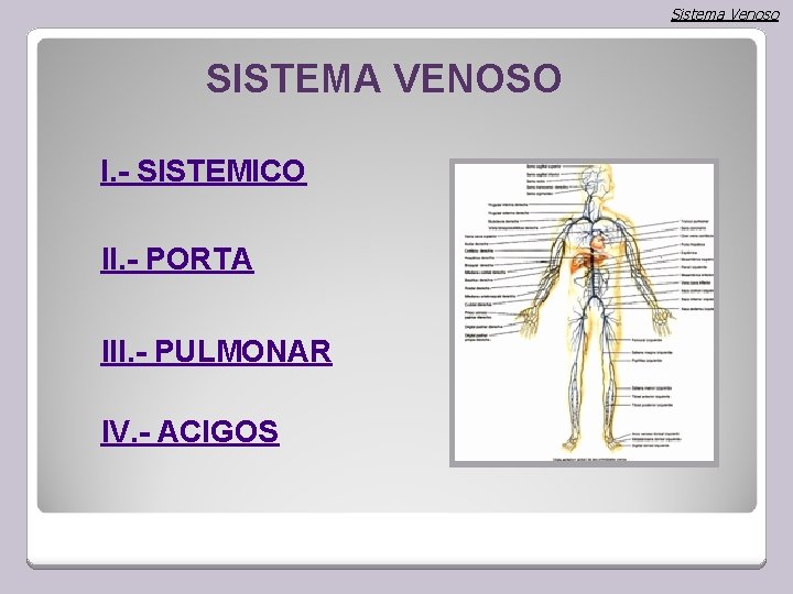 Sistema Venoso SISTEMA VENOSO I. - SISTEMICO II. - PORTA III. - PULMONAR IV.