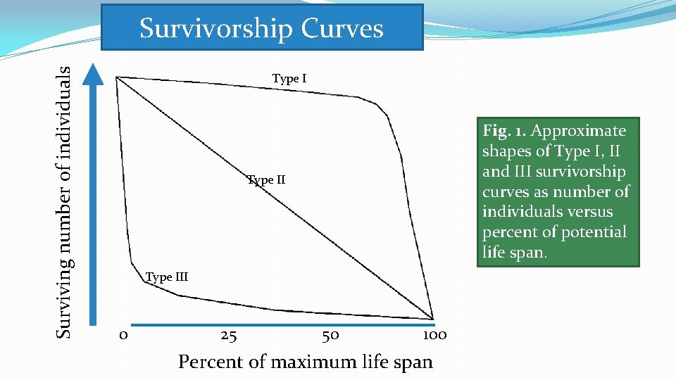 Surviving number of individuals Survivorship Curves Type I Fig. 1. Approximate shapes of Type