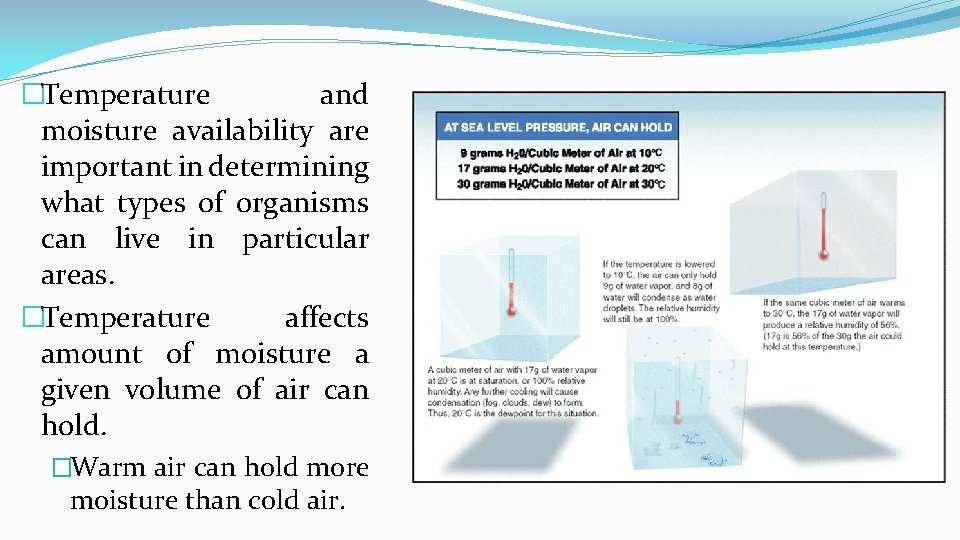 �Temperature and moisture availability are important in determining what types of organisms can live