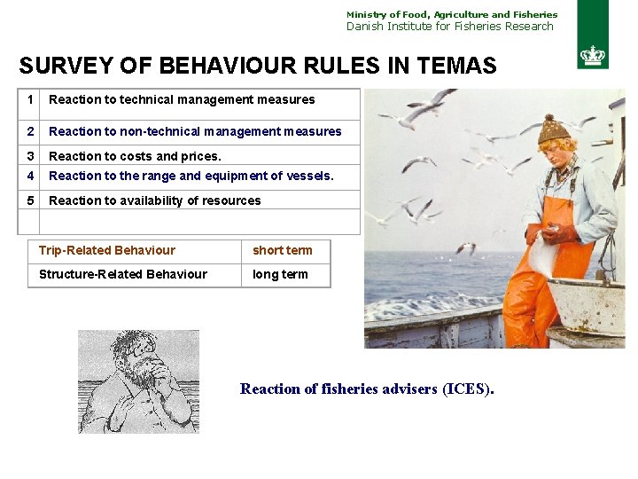 Ministry of Food, Agriculture and Fisheries Danish Institute for Fisheries Research SURVEY OF BEHAVIOUR