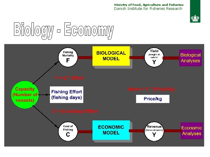 Ministry of Food, Agriculture and Fisheries Danish Institute for Fisheries Research 