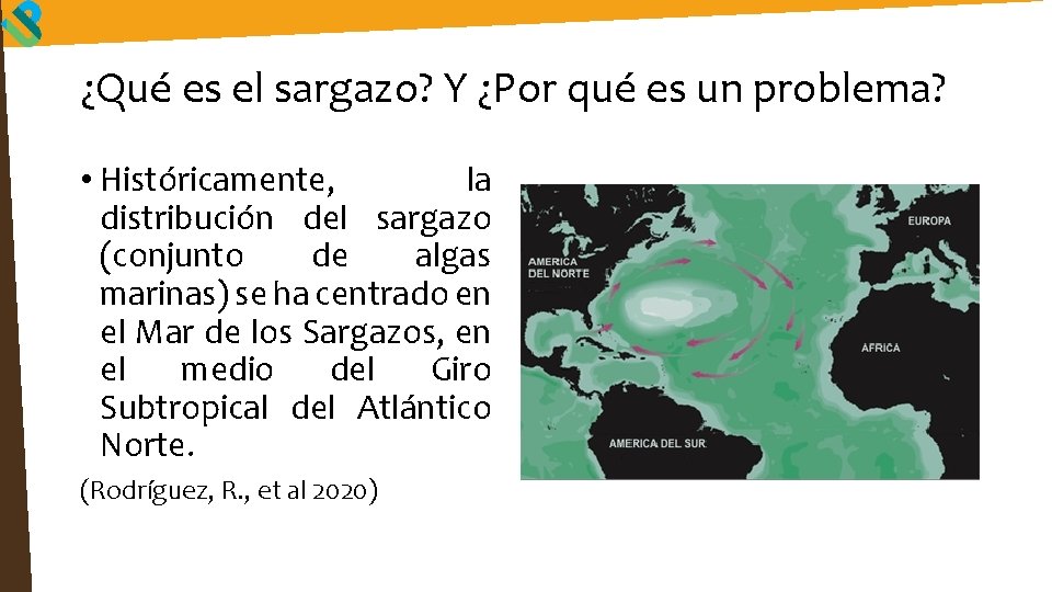 ¿Qué es el sargazo? Y ¿Por qué es un problema? • Históricamente, la distribución