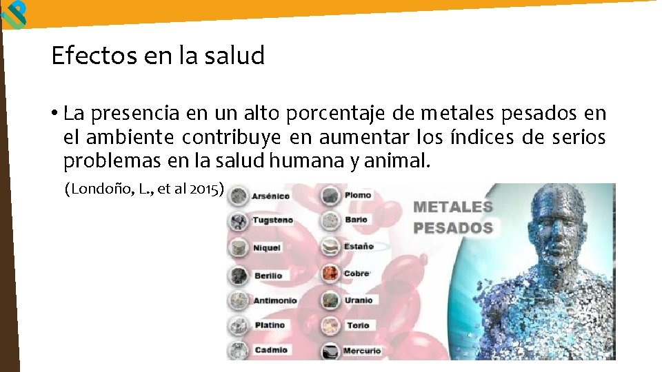 Efectos en la salud • La presencia en un alto porcentaje de metales pesados