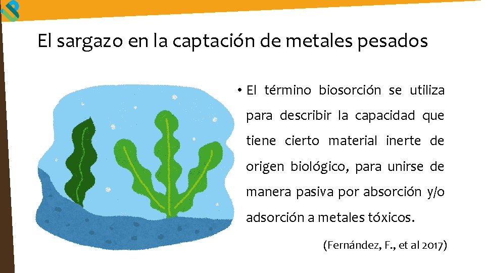 El sargazo en la captación de metales pesados • El término biosorción se utiliza