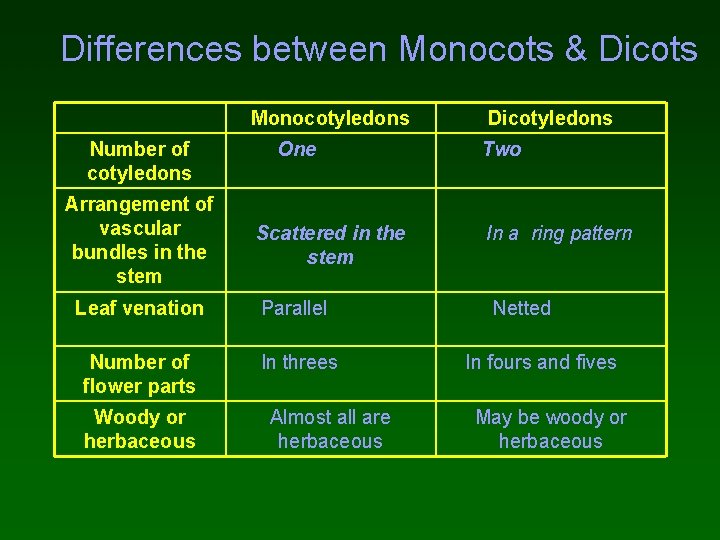 Differences between Monocots & Dicots Monocotyledons Number of cotyledons Arrangement of vascular bundles in