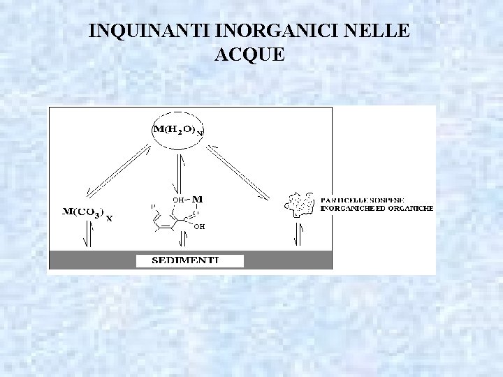 INQUINANTI INORGANICI NELLE ACQUE 