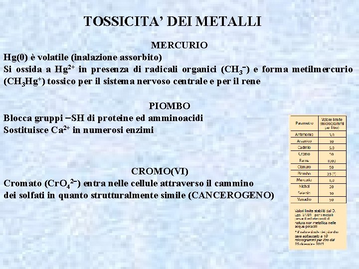 TOSSICITA’ DEI METALLI MERCURIO Hg(0) è volatile (inalazione assorbito) Si ossida a Hg 2+