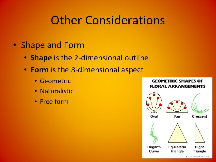 Other Considerations • Shape and Form • Shape is the 2 -dimensional outline •