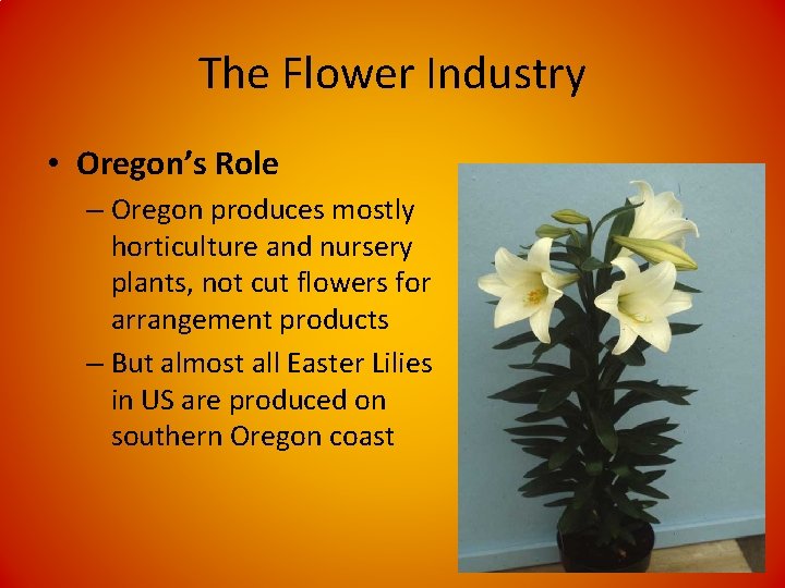 The Flower Industry • Oregon’s Role – Oregon produces mostly horticulture and nursery plants,