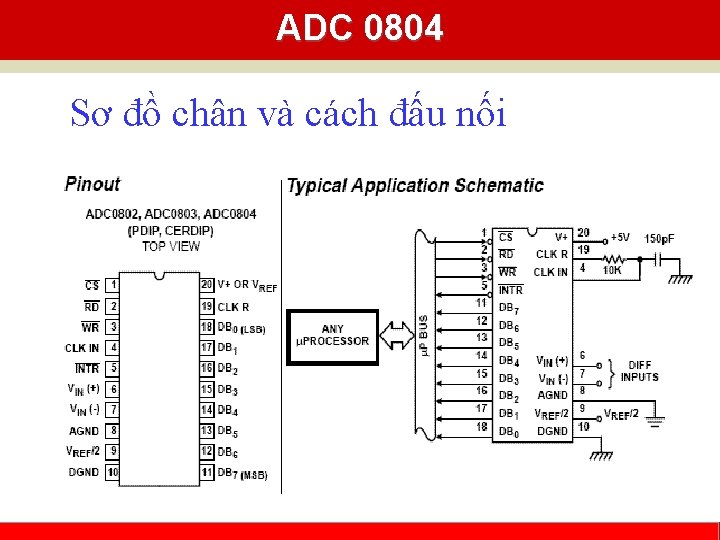ADC 0804 Sơ đồ chân và cách đấu nối Cao Nguyễn Khoa Nam -