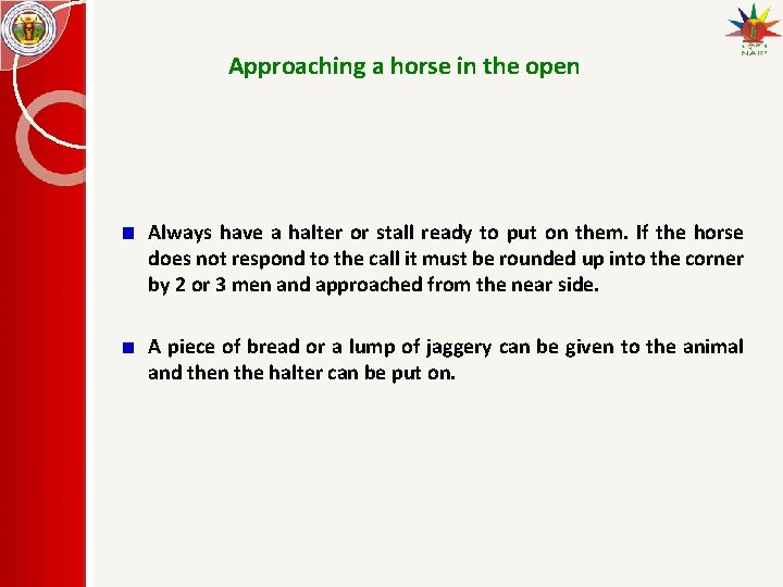 Approaching a horse in the open Always have a halter or stall ready to