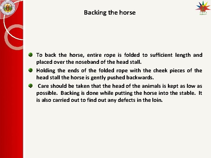 Backing the horse To back the horse, entire rope is folded to sufficient length