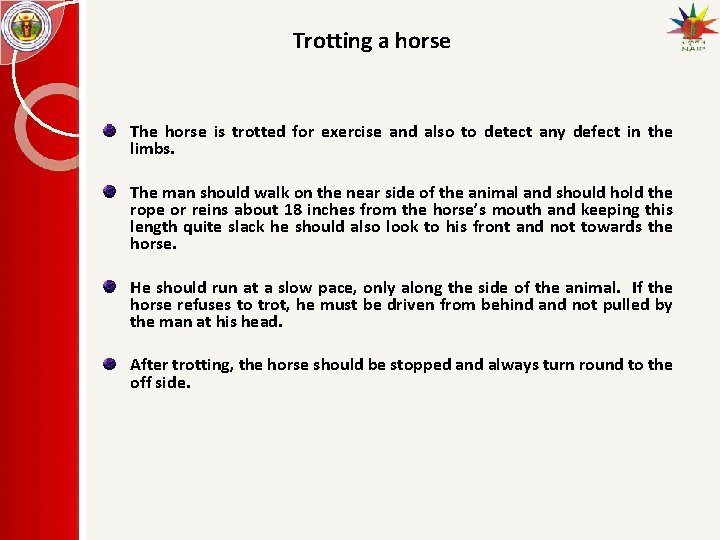Trotting a horse The horse is trotted for exercise and also to detect any