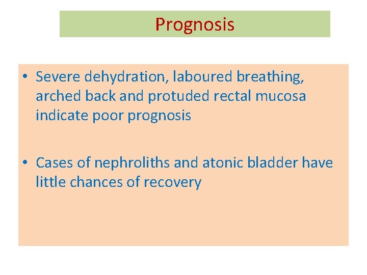 Prognosis • Severe dehydration, laboured breathing, arched back and protuded rectal mucosa indicate poor