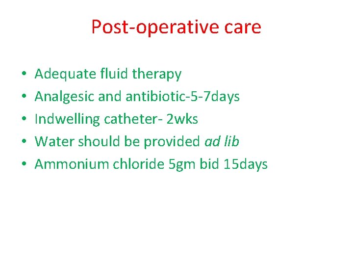 Post-operative care • • • Adequate fluid therapy Analgesic and antibiotic-5 -7 days Indwelling