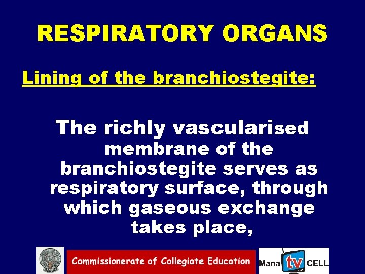 RESPIRATORY ORGANS Lining of the branchiostegite: The richly vascularised membrane of the branchiostegite serves