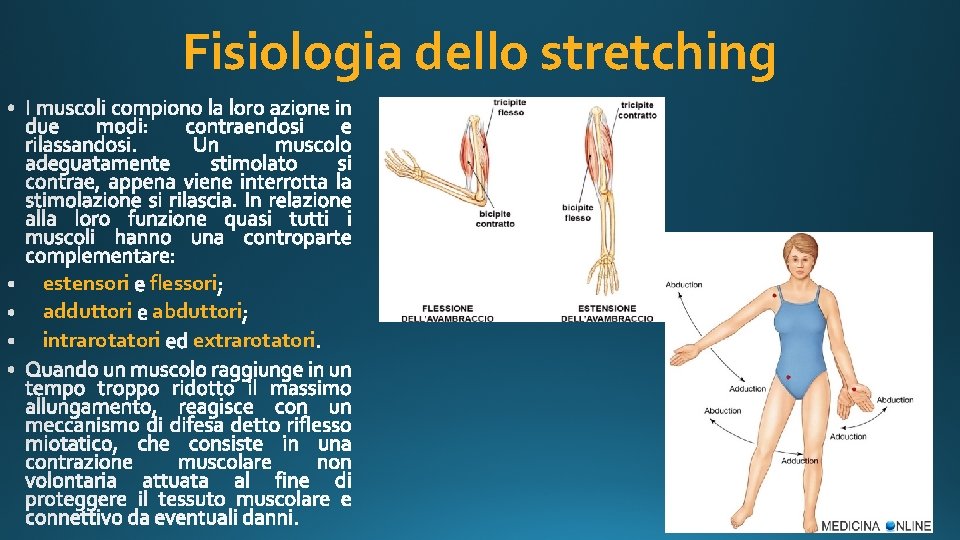 Fisiologia dello stretching estensori flessori adduttori abduttori intrarotatori extrarotatori 