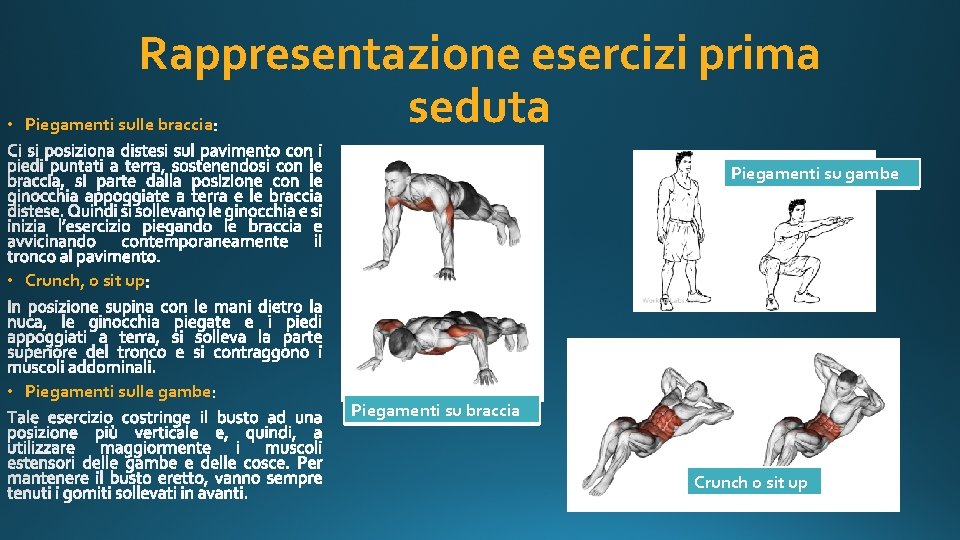 Rappresentazione esercizi prima seduta • Piegamenti sulle braccia Piegamenti su gambe • Crunch, o