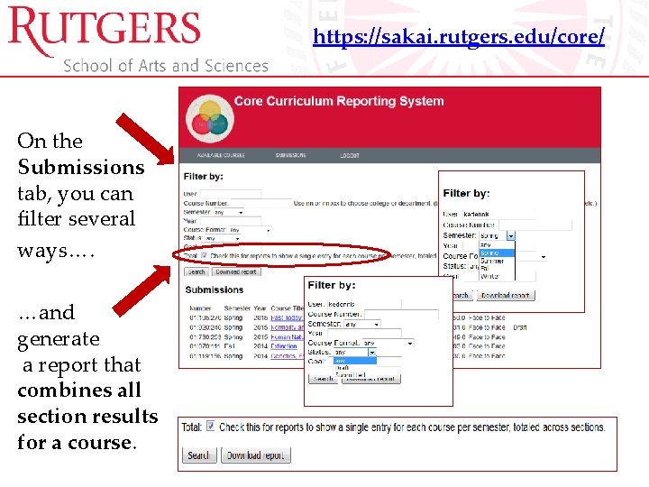 Core Goals Assessment Using the Online Reporting System