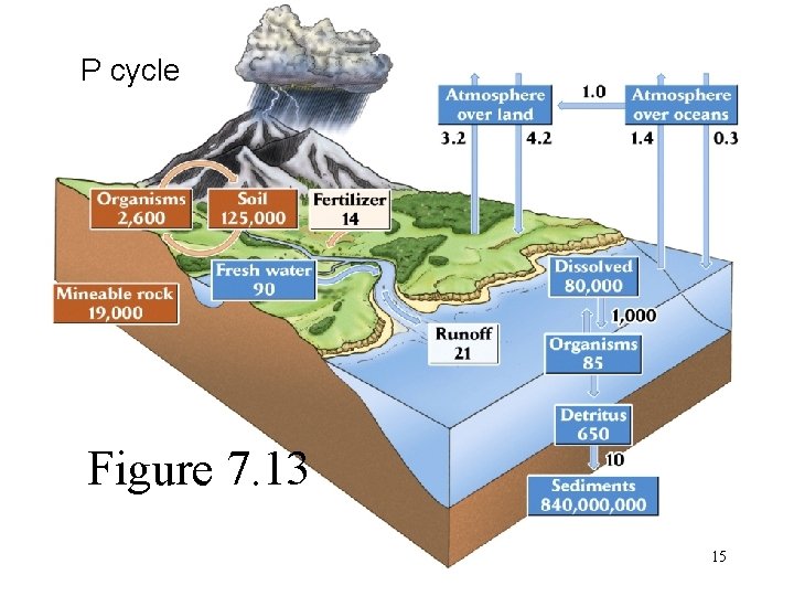 P cycle Figure 7. 13 15 