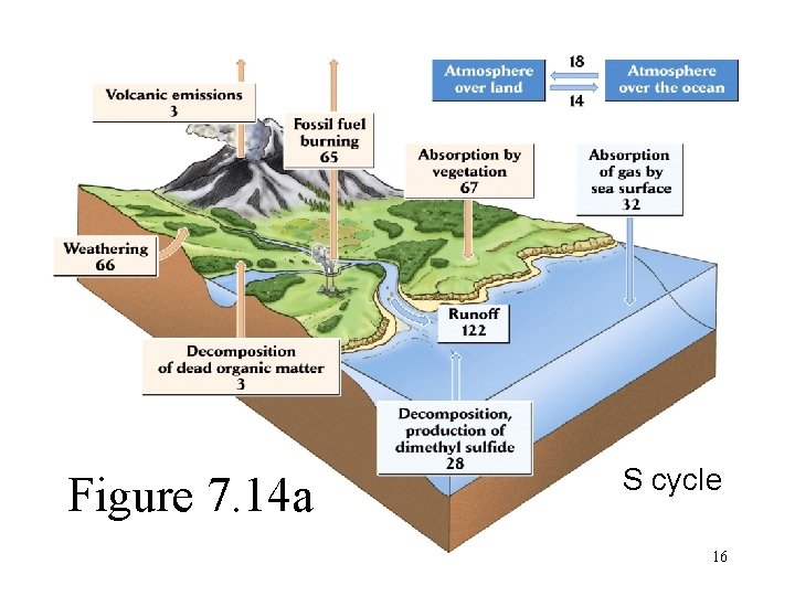 Figure 7. 14 a S cycle 16 