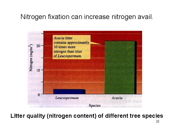 Nitrogen fixation can increase nitrogen avail. Litter quality (nitrogen content) of different tree species