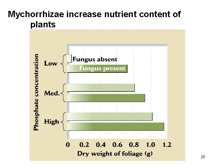 Mychorrhizae increase nutrient content of plants Fig. 8. 7 29 