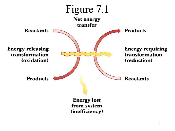 Figure 7. 1 organic inorganic 5 