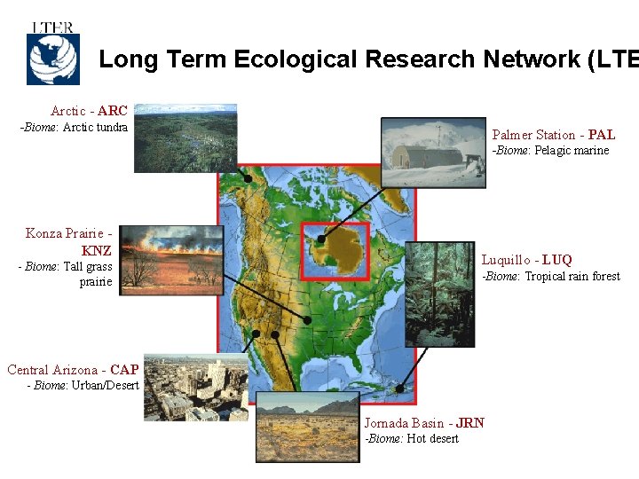 Long Term Ecological Research Network (LTE Arctic - ARC -Biome: Arctic tundra Palmer Station