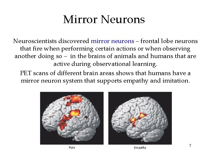 Mirror Neurons Neuroscientists discovered mirror neurons – frontal lobe neurons that fire when performing