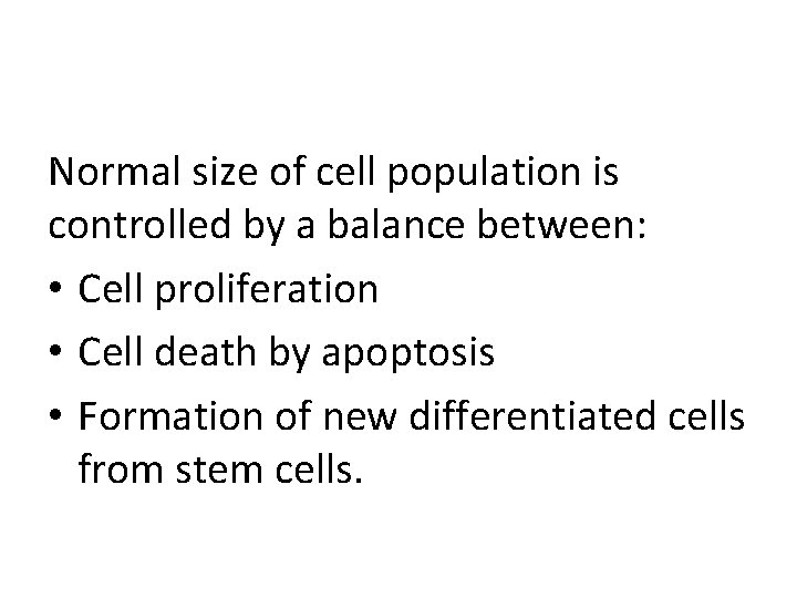 Normal size of cell population is controlled by a balance between: • Cell proliferation