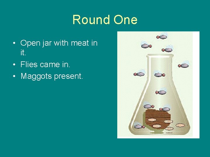 Round One • Open jar with meat in it. • Flies came in. •