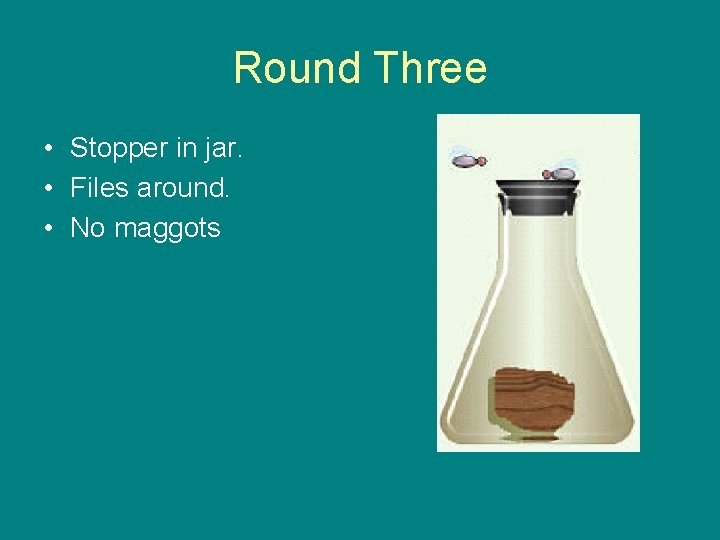 Round Three • Stopper in jar. • Files around. • No maggots 