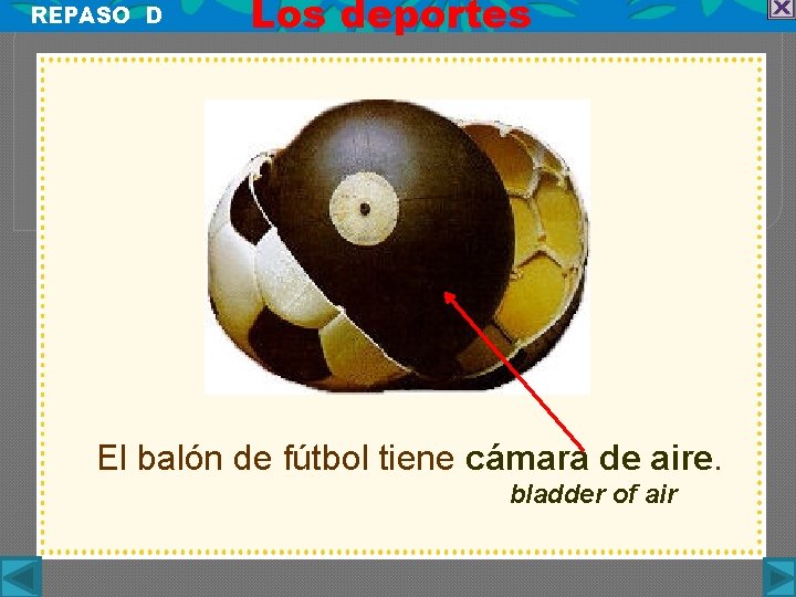 REPASO D Los deportes El balón de fútbol tiene cámara de aire. bladder of