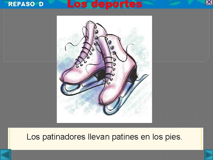 REPASO D Los deportes Los patinadores llevan patines en los pies. 