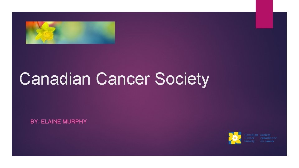 Canadian Cancer Society BY: ELAINE MURPHY 