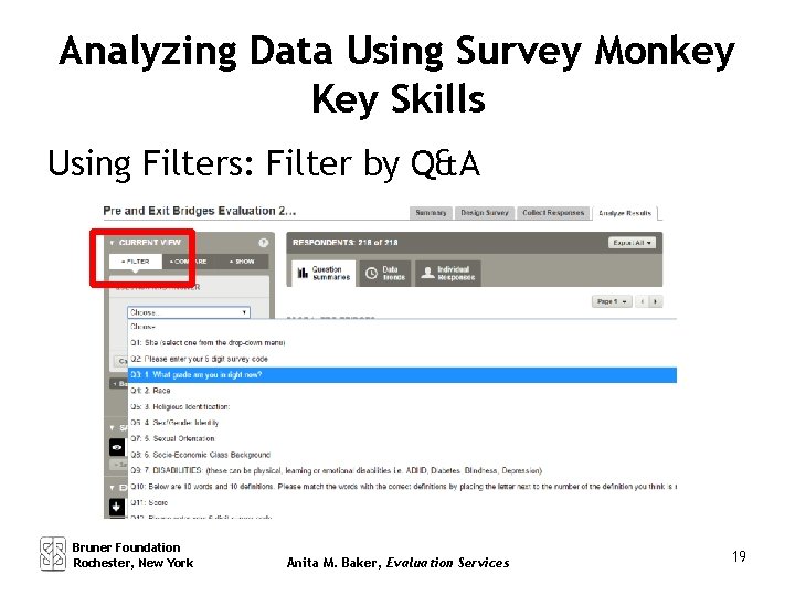 Analyzing Data Using Survey Monkey Key Skills Using Filters: Filter by Q&A Bruner Foundation