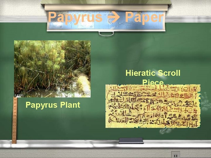 Papyrus Paper Hieratic Scroll Piece Papyrus Plant Papyrus Paper Hieratic Scroll Piece Papyrus Plant