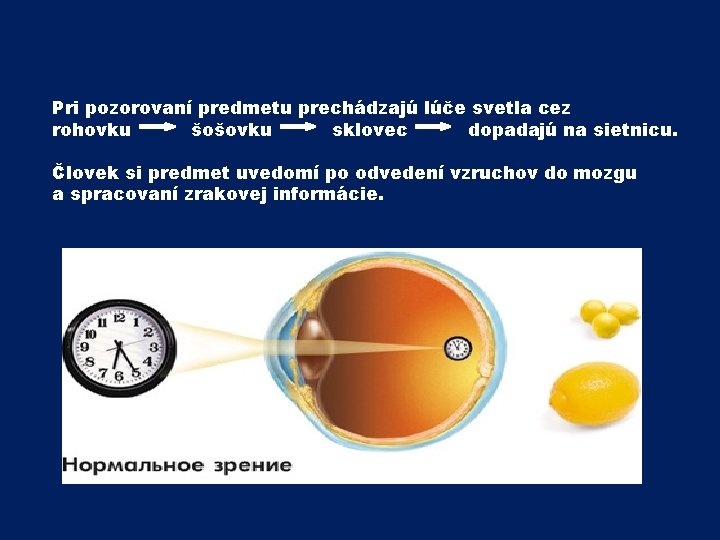 Pri pozorovaní predmetu prechádzajú lúče svetla cez rohovku šošovku sklovec dopadajú na sietnicu. Človek