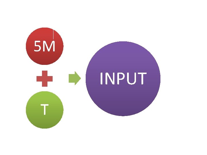 5 M INPUT T 