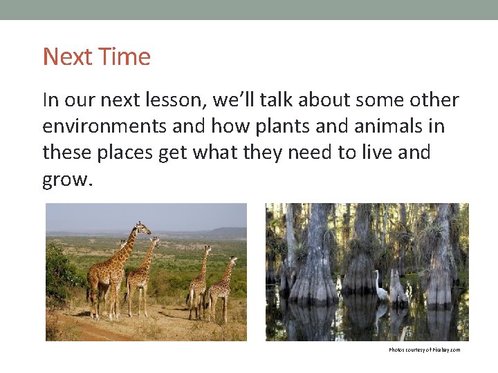 Next Time In our next lesson, we’ll talk about some other environments and how