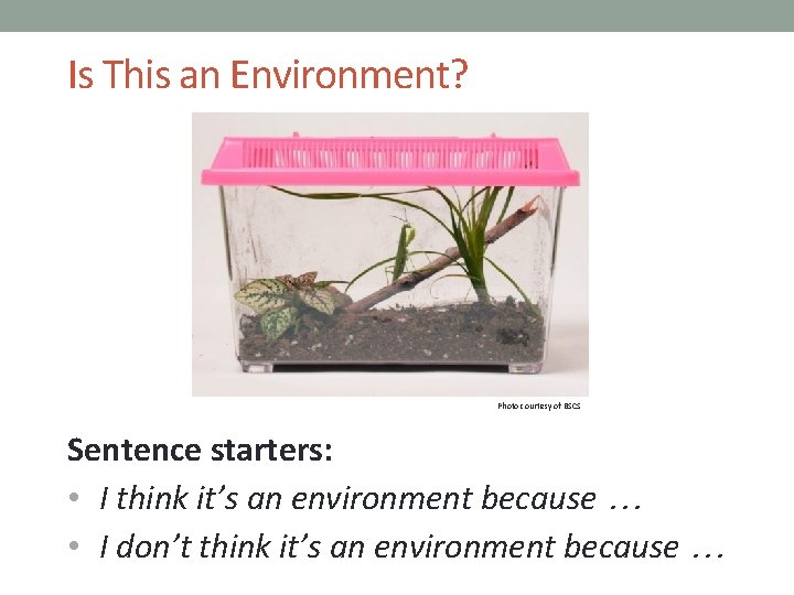 Is This an Environment? Photo courtesy of BSCS Sentence starters: • I think it’s