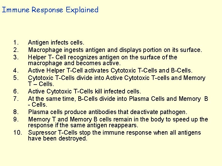Immune Response Explained 1. 2. 3. Antigen infects cells. Macrophage ingests antigen and displays