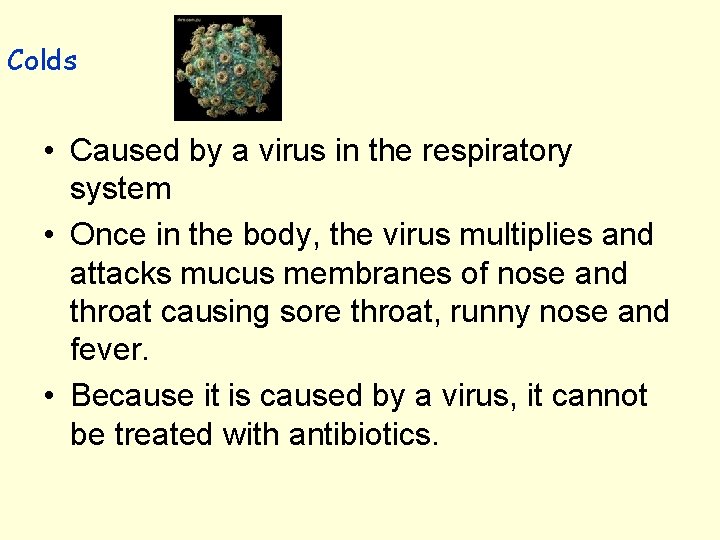 Colds • Caused by a virus in the respiratory system • Once in the