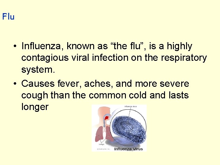 Flu • Influenza, known as “the flu”, is a highly contagious viral infection on