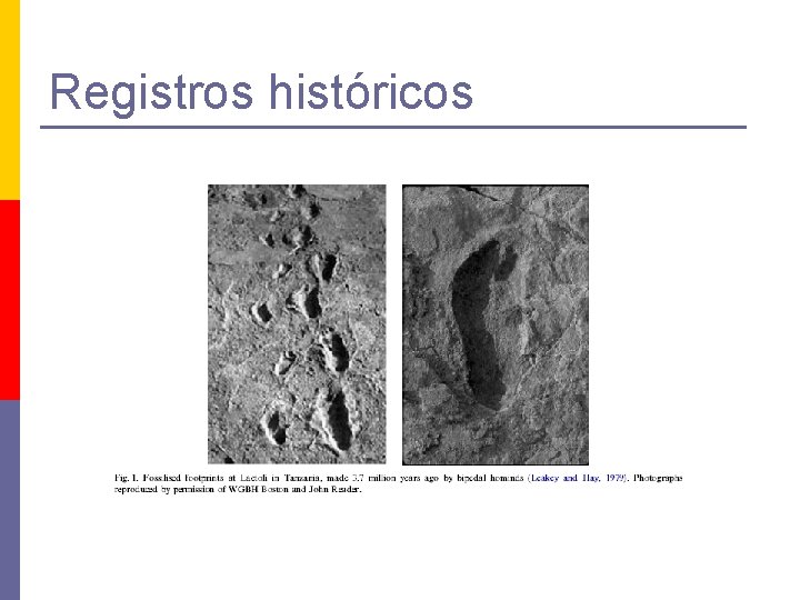 Registros históricos 