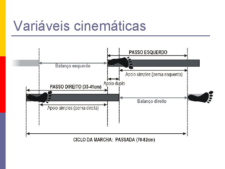 Variáveis cinemáticas 