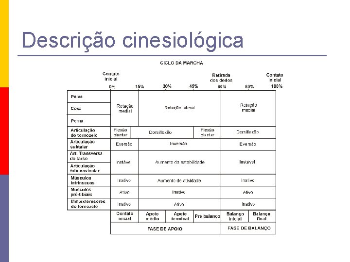 Descrição cinesiológica 